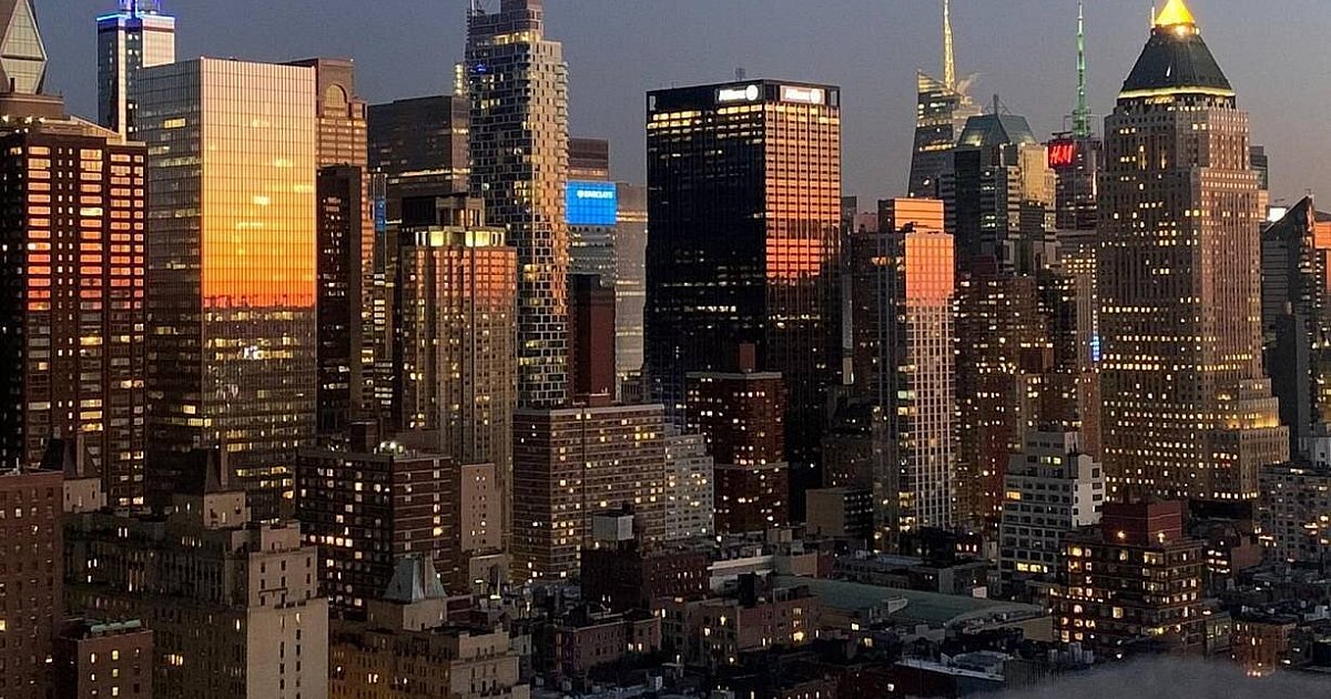 Bielefelderin entdeckt ungewöhnliche Tier-Freundschaft – und landet in der „New York Times“