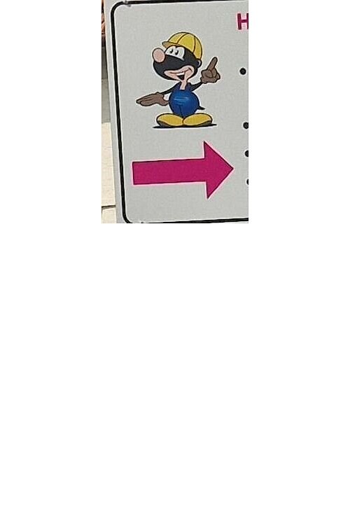 Maulwurf Iseky hat das Zeug zum Stadt-Maskottchen. - © Uwe Pollmeier