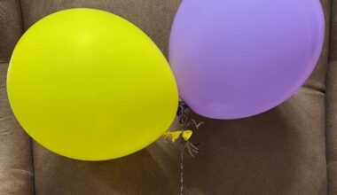 Karneval im Anflug – Ballonpost landet bei Hamburger Polizei | NRW