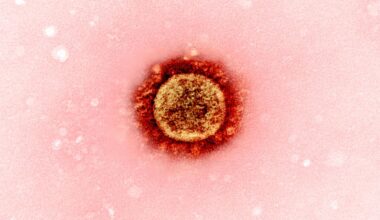 Gefahr von Virusmutationen: Mann hat zwei Jahre lang durchgehend Corona