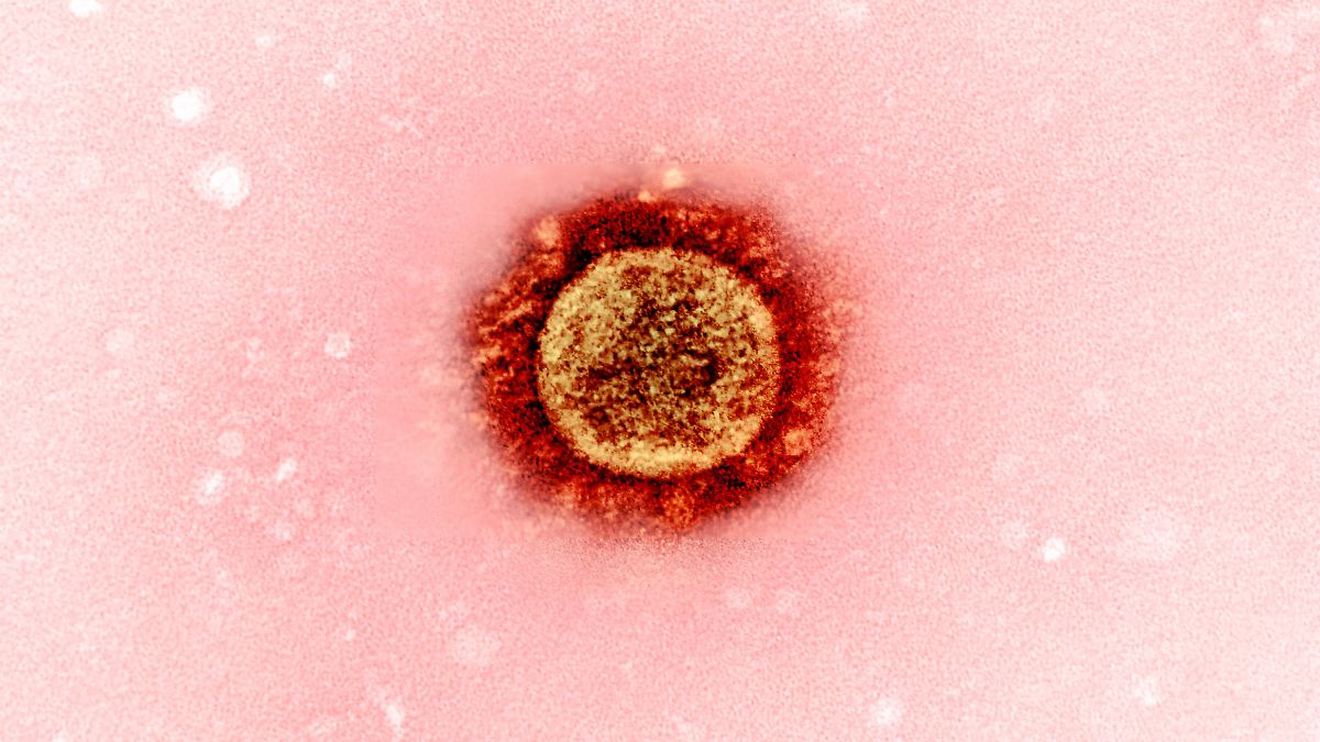 Gefahr von Virusmutationen: Mann hat zwei Jahre lang durchgehend Corona