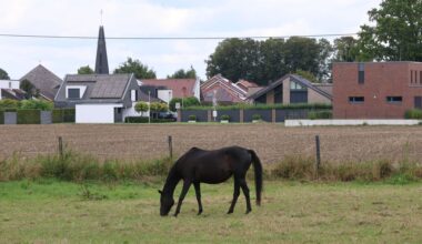 So unterschiedlich fühlen sich Münsters Stadtteile behandelt