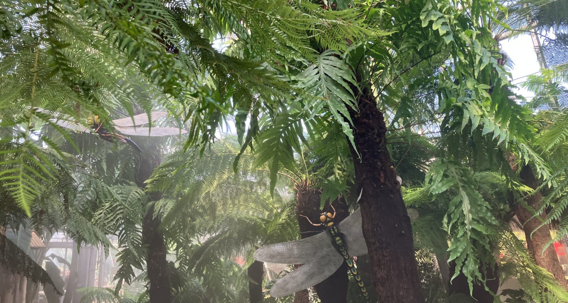 Zeitreise in das Karbon-Zeitalter im Botanischen Garten Rombergpark