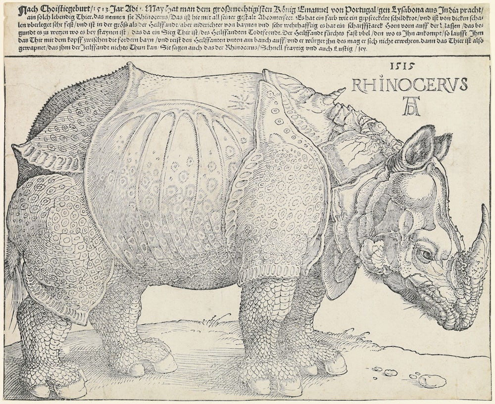 Albrecht Dürers „Rhinocerus“.