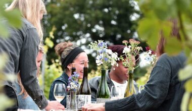 England: Wie die Insel zu einer der dynamischsten Weinregionen der Welt wurde