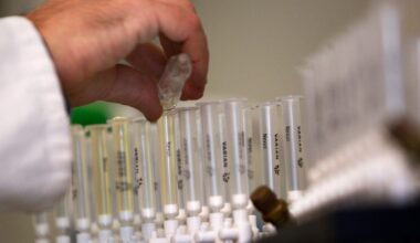 Bayerisches "Breaking Bad"? Münchner Dopinghändler vor Gericht