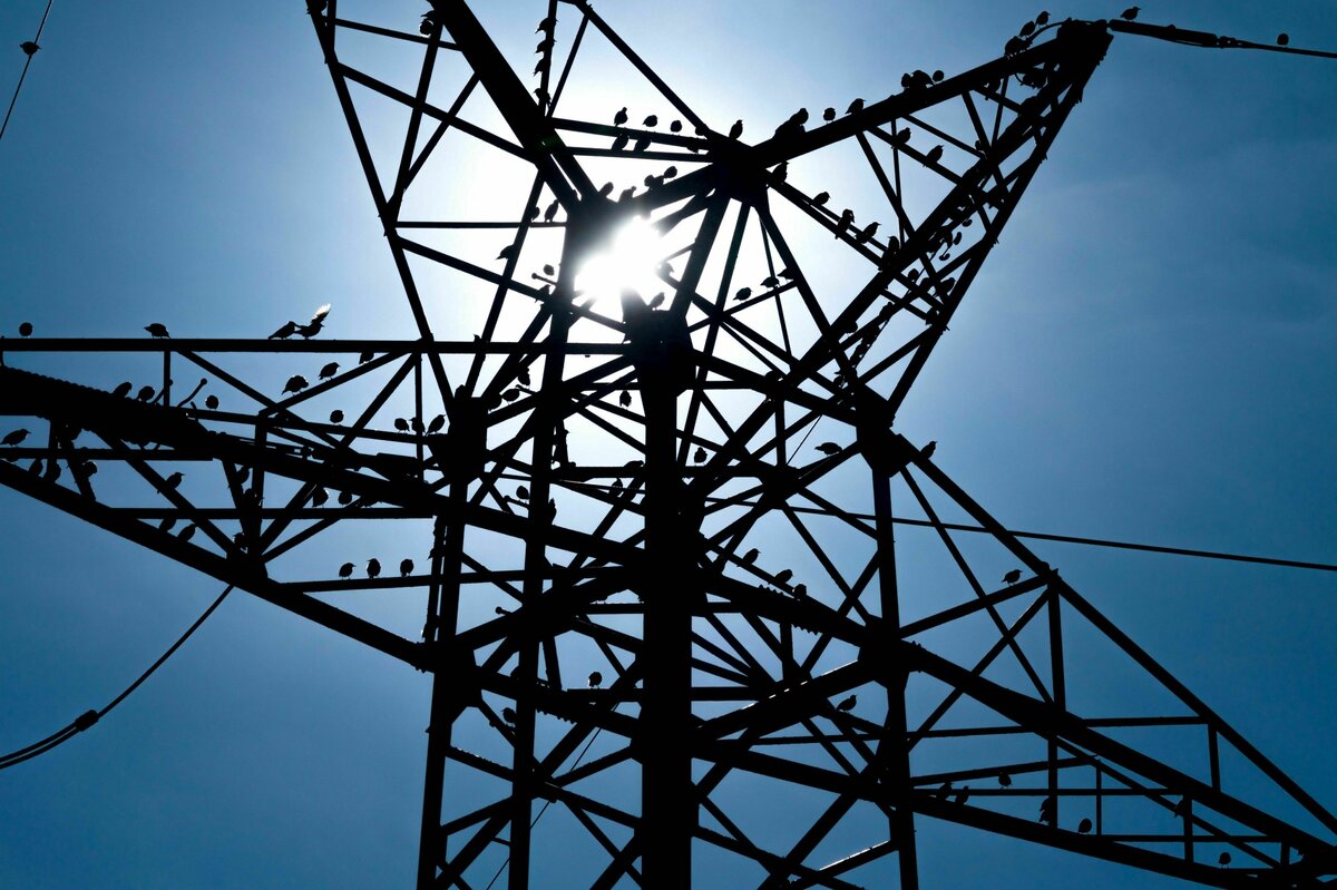 Negative Strompreise: Noch nie so oft Elektrizität für lau wie in diesem Jahr