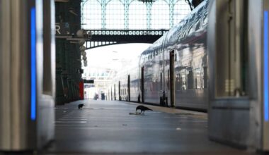 Generalstreik gefährdet Bahn- und Flugverkehr