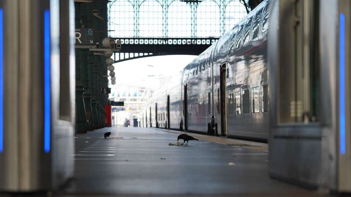 Generalstreik gefährdet Bahn- und Flugverkehr