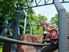 Eine Achterbahn im dänischen Freizeitpark Dyrehavsbakken.