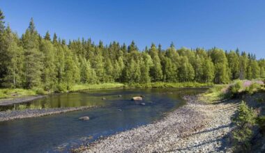 Spannung im hohen Norden – vier Buchtipps
