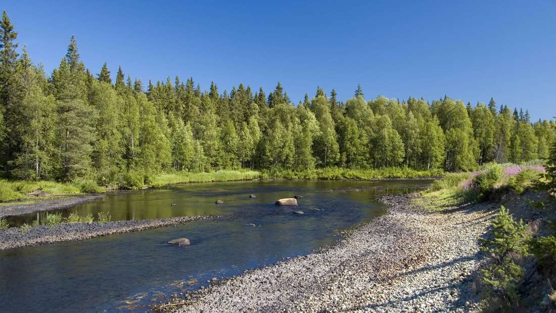 Fluss Öre Älv in Schweden (Symbolbild)