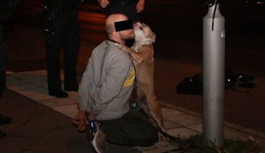 Herzzerreißender Abschied in Handschellen: Herrchen muss mit zur Polizei | Regional