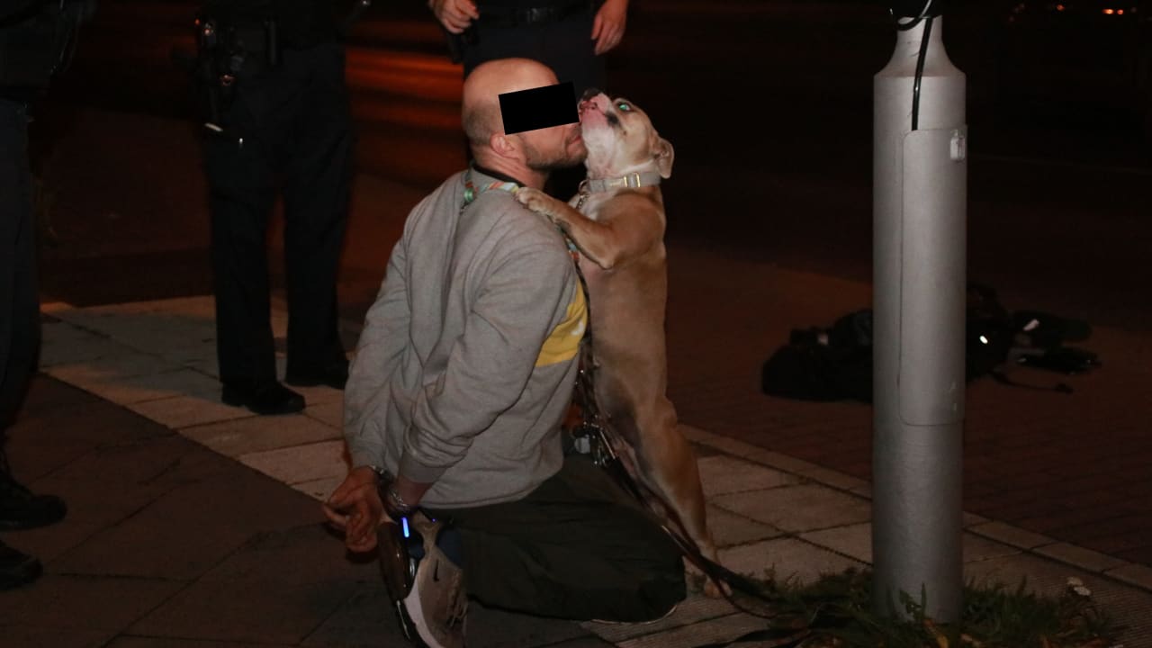 Herzzerreißender Abschied in Handschellen: Herrchen muss mit zur Polizei | Regional