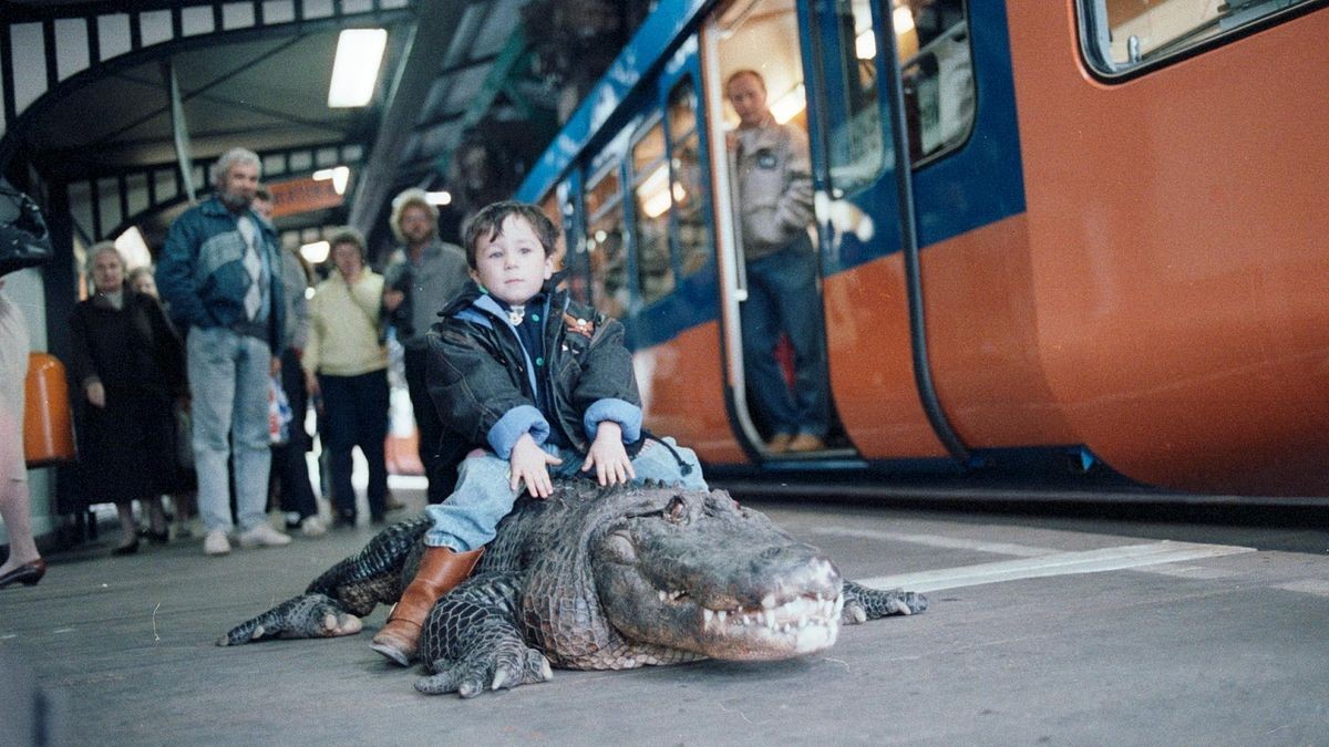 Vor der Schwebebahn an der Werther Brücke liegt ein Alligator, auf seinem Rücken sitzt ein kleiner Junge. Im Hintergrund schauen Menschen in Klamotten aus Ende der 1980er-Jahre neugierig auf die Szenerie.
