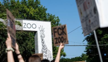 Linke wollen Zoo und Taskforce abschaffen