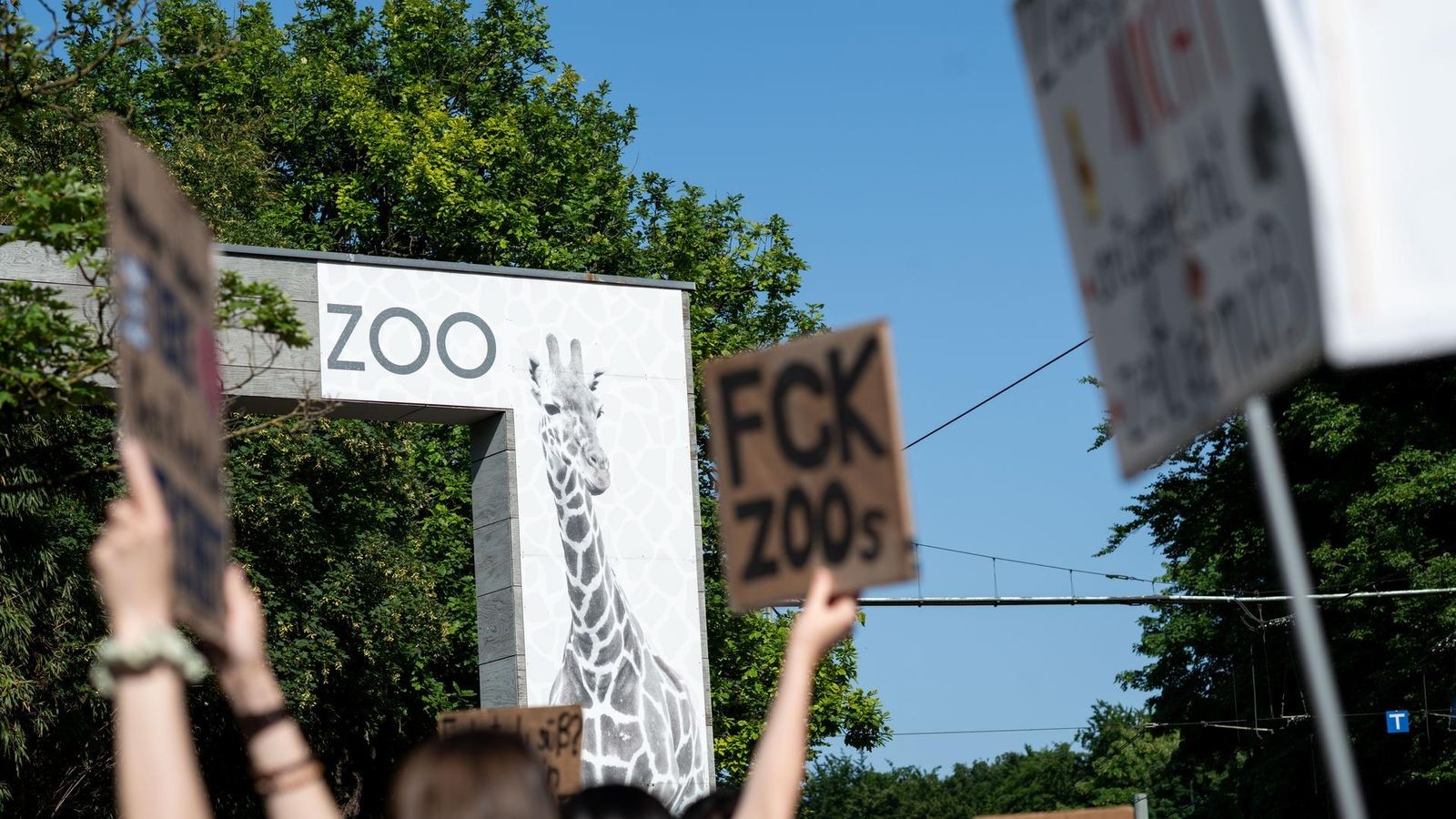Linke wollen Zoo und Taskforce abschaffen