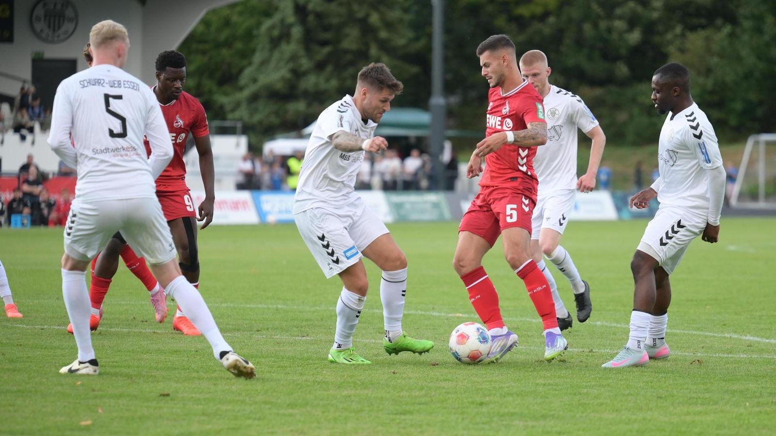 Jetzt live im Ticker! ETB SW Essen gegen 1. FC Köln