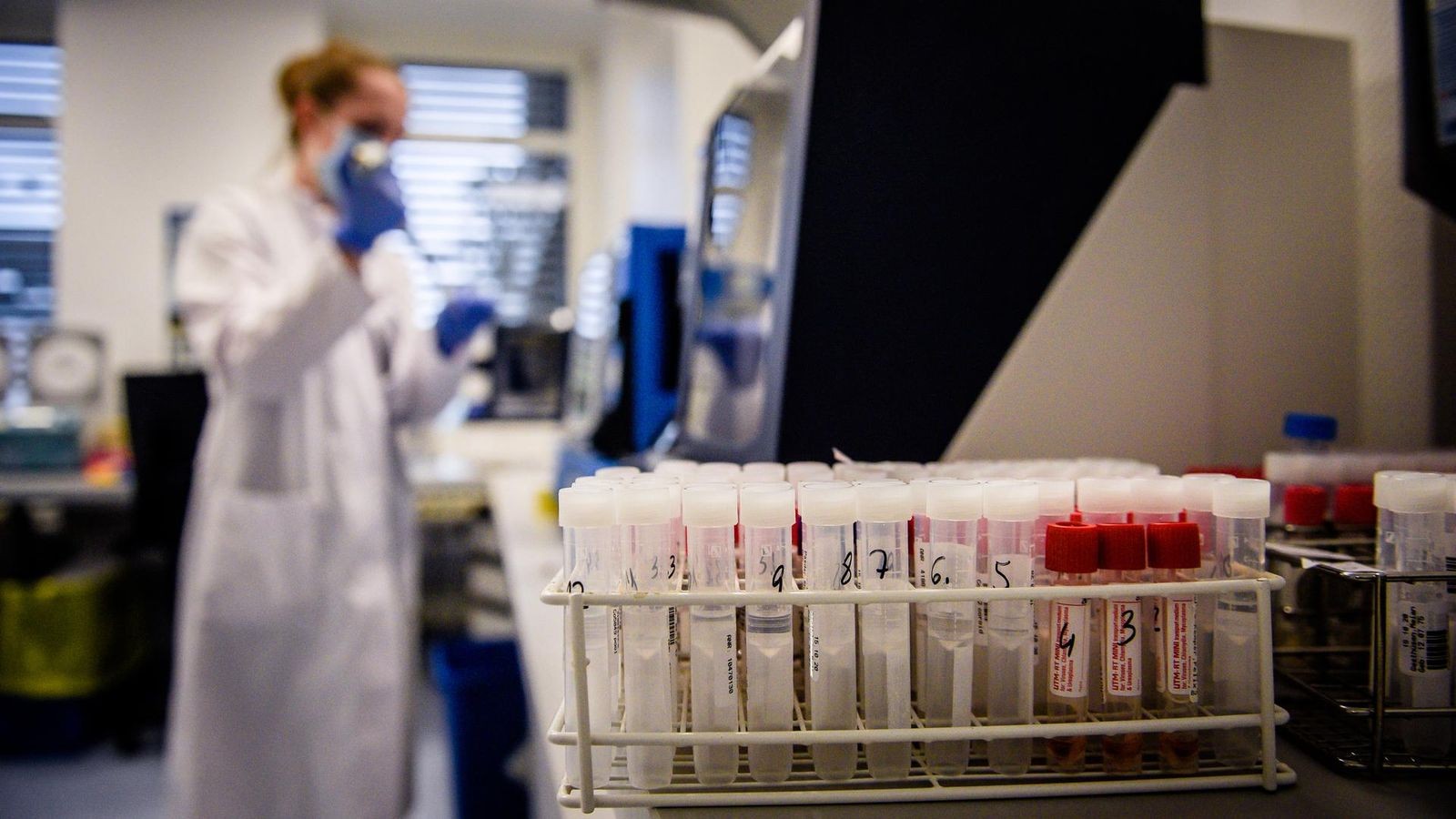 Hier wird das Blut der Essener untersucht
