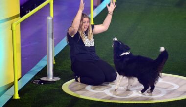 Top Dog Germany bei RTL: Emotionaler Abschied von Trouble