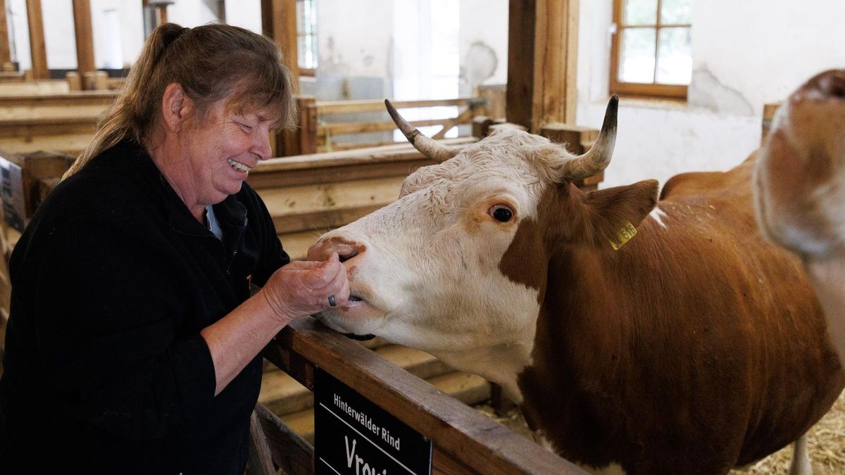 Revierleiterin Martina Althaus und Kuh-Mama „Vroni“.
