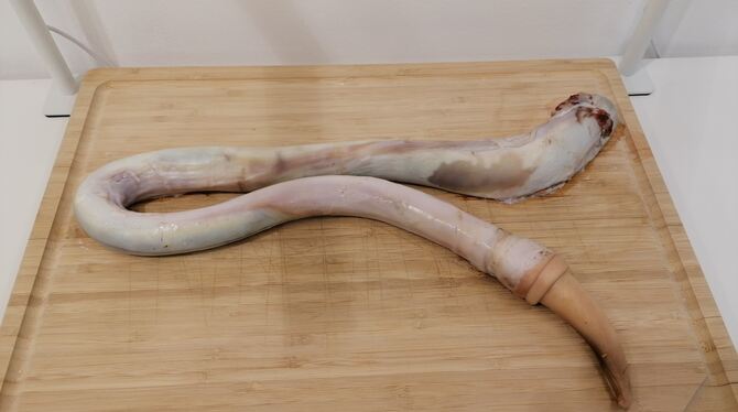 Stierpenisse werden in China gerne gegessen.