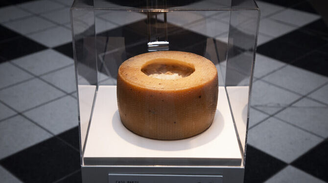 Casa Marzu im Disgusting Food Museum