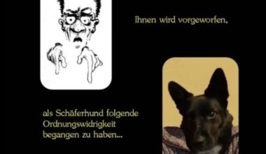 Wider den humorlosen Amtsschimmel: Gemeinsames Buch von Werner und Walter Imhof
