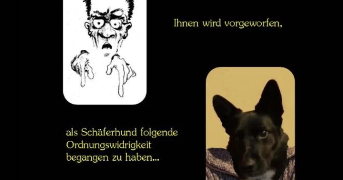 Wider den humorlosen Amtsschimmel: Gemeinsames Buch von Werner und Walter Imhof