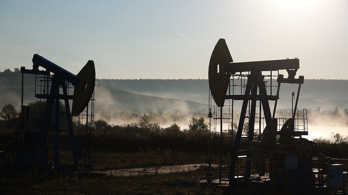 Nach Gespräch mit Trump: Von der Leyen will russische Energieimporte schneller beenden