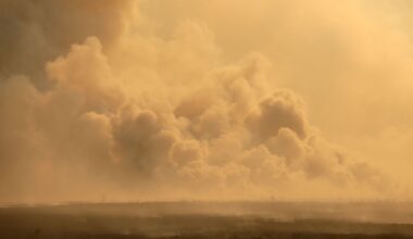 Hotspot ist iberische Halbinsel: Waldbrände in Europa verursachen CO2-Negativrekord