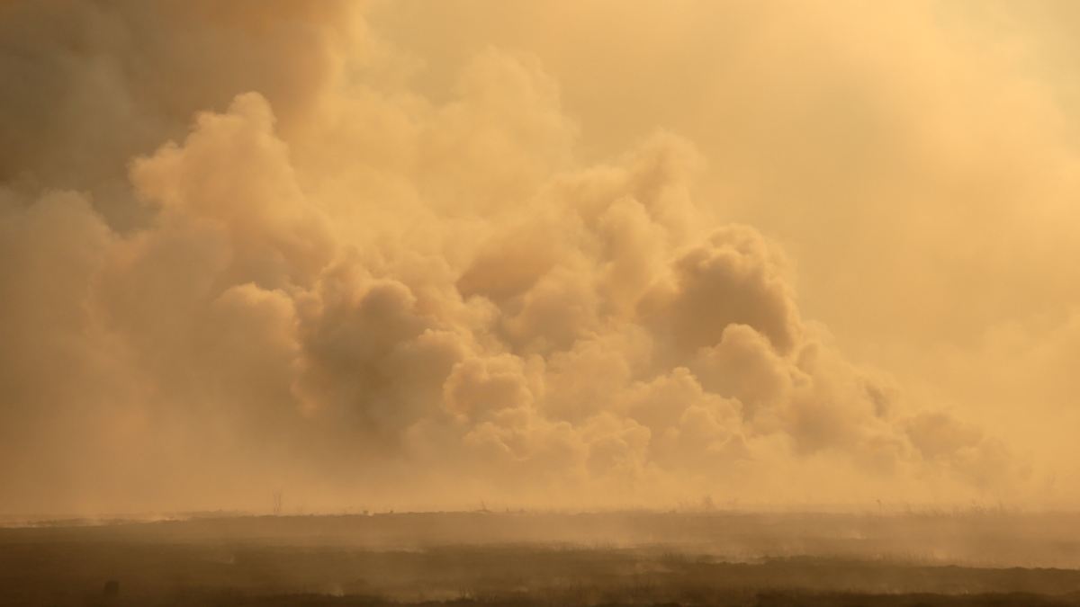 Hotspot ist iberische Halbinsel: Waldbrände in Europa verursachen CO2-Negativrekord