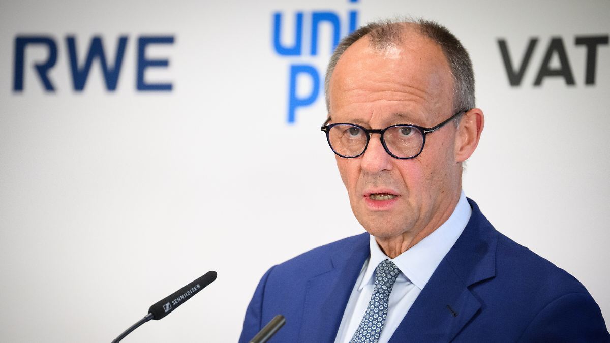 "Etwas weniger machen": Merz will offenbar Ausbau der erneuerbaren Energien abbremsen