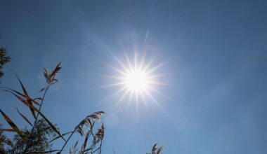 Viele Tote in Deutschland: Zehntausende Europäer starben im Rekordsommer 2024 an Hitze