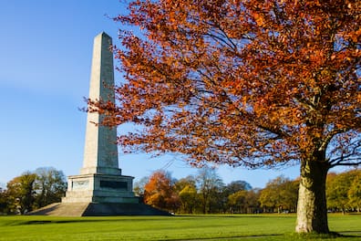 Phoenix Park und Wellington Monument im Herbst.