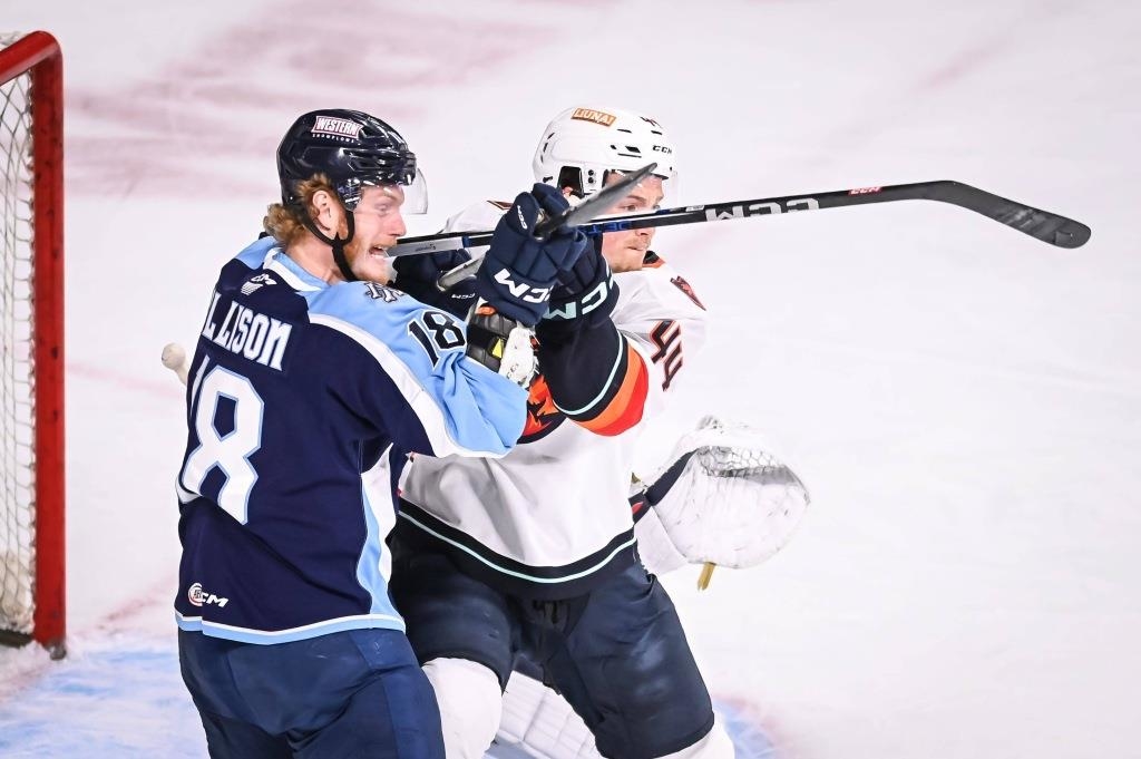 Straubing Tigers holen Kanadier Wade Allison