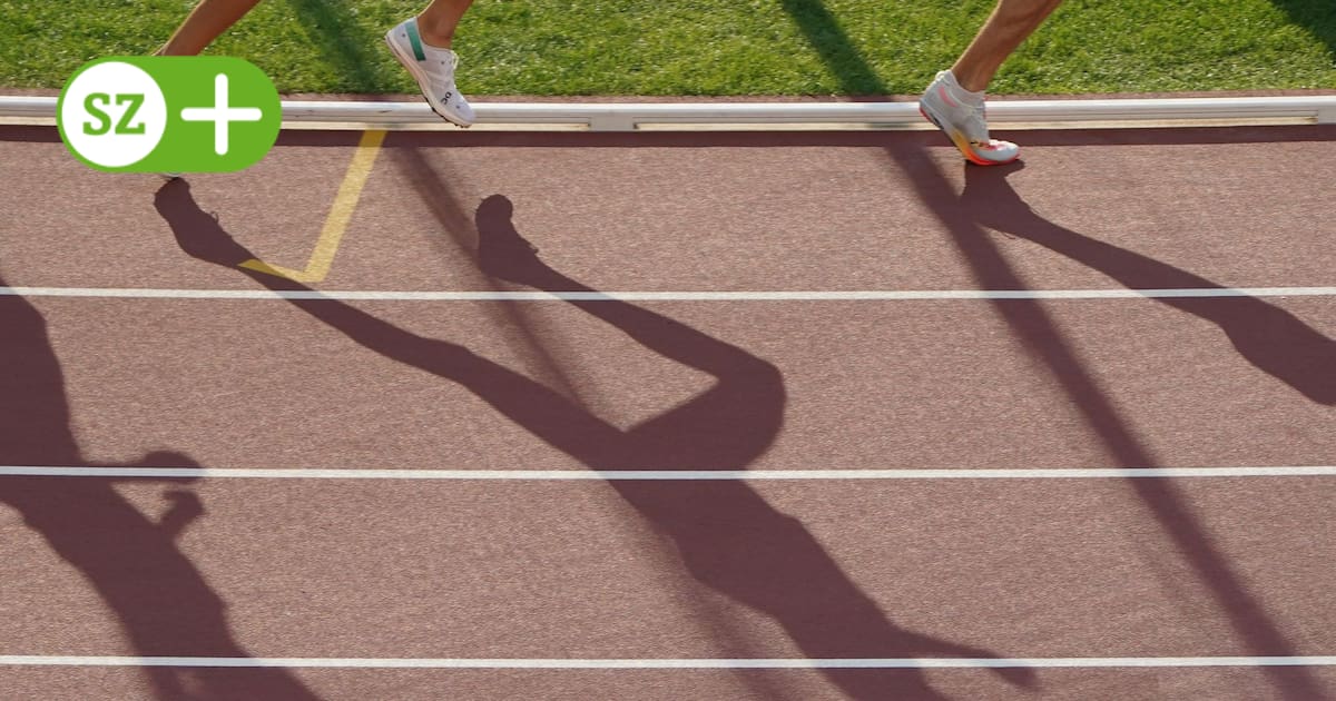 Trainer in Sachsen soll suspendiert werden