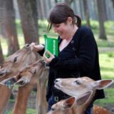 Eine Frau füttert gleich mehrere Rehe.