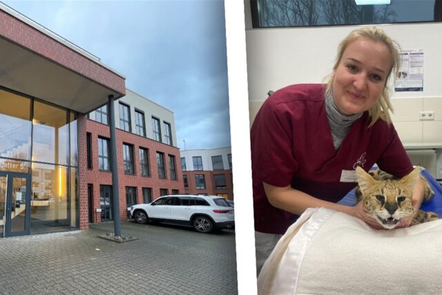 Tierärztin Meike van Staa mit einer Katze, rechts der Eingang zur neuen Praxis