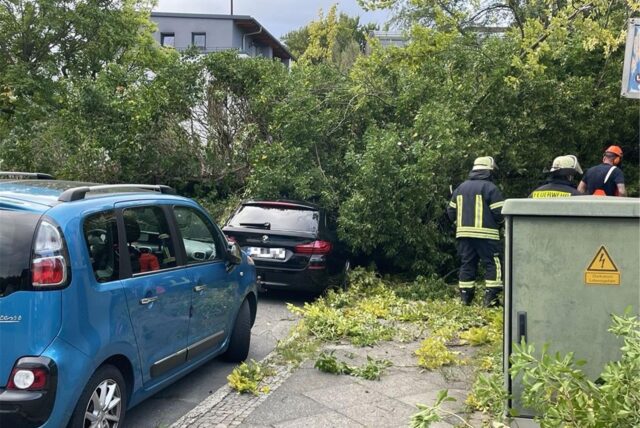 Sturmböen haben am Montag (15.9.) einen Baum an der Wagenfeldstraße in der östlichen City zu Fall gebracht. Der Baum beschädigte zwei Autos.