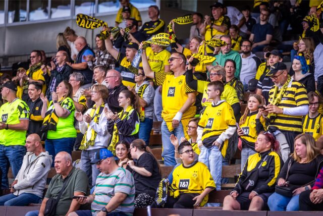 Fans des BVB jubeln.