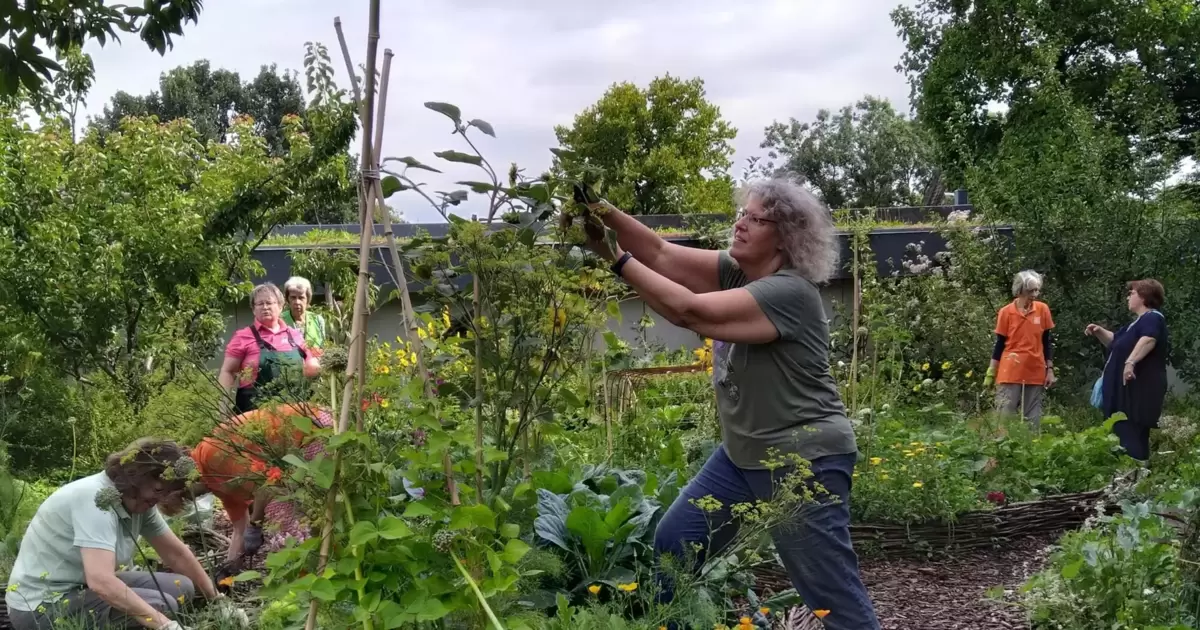 Gemeinsam gärtnern: Wie ehrenamtliche Pflanzenfreunde den Luisenpark prägen - Mannheim