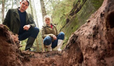 "Tatort" aus Nürnberg: Nur Geduld - Medien