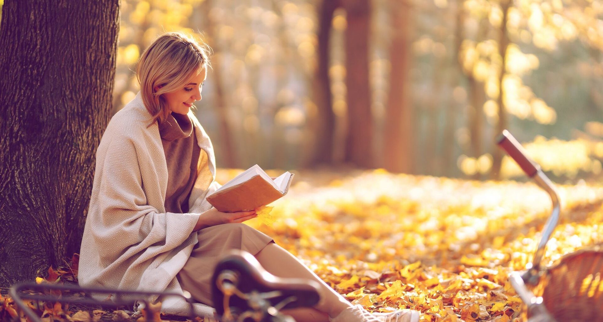 5 Cozy‑Fantasy‑Bücher für Fans von „The Enchanted Greenhouse“