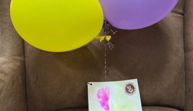 An Luftballons quer durch Deutschland: Grußkarte flog 300 Kilometer | Regional