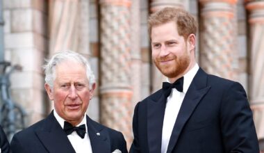 Prinz Harry und Charles III.: Das passierte hinter verschlossenen Türen | Unterhaltung