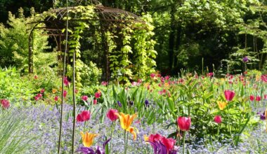 Die „Offene Gartenpforte 2025“ geht ins letzte Aktionswochenende