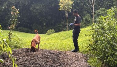 Getöteter Mann war Deutscher: Erschossenes Pärchen in Costa Rica - Frau aus Österreich