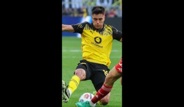 Borussia Dortmund: So wichtig wird Anselmino für den BVB | Sport