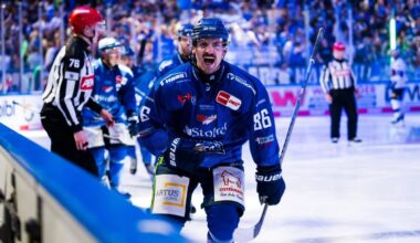 Die Straubing Tigers verzücken ihre Fans